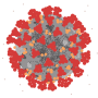 covid-19who.png